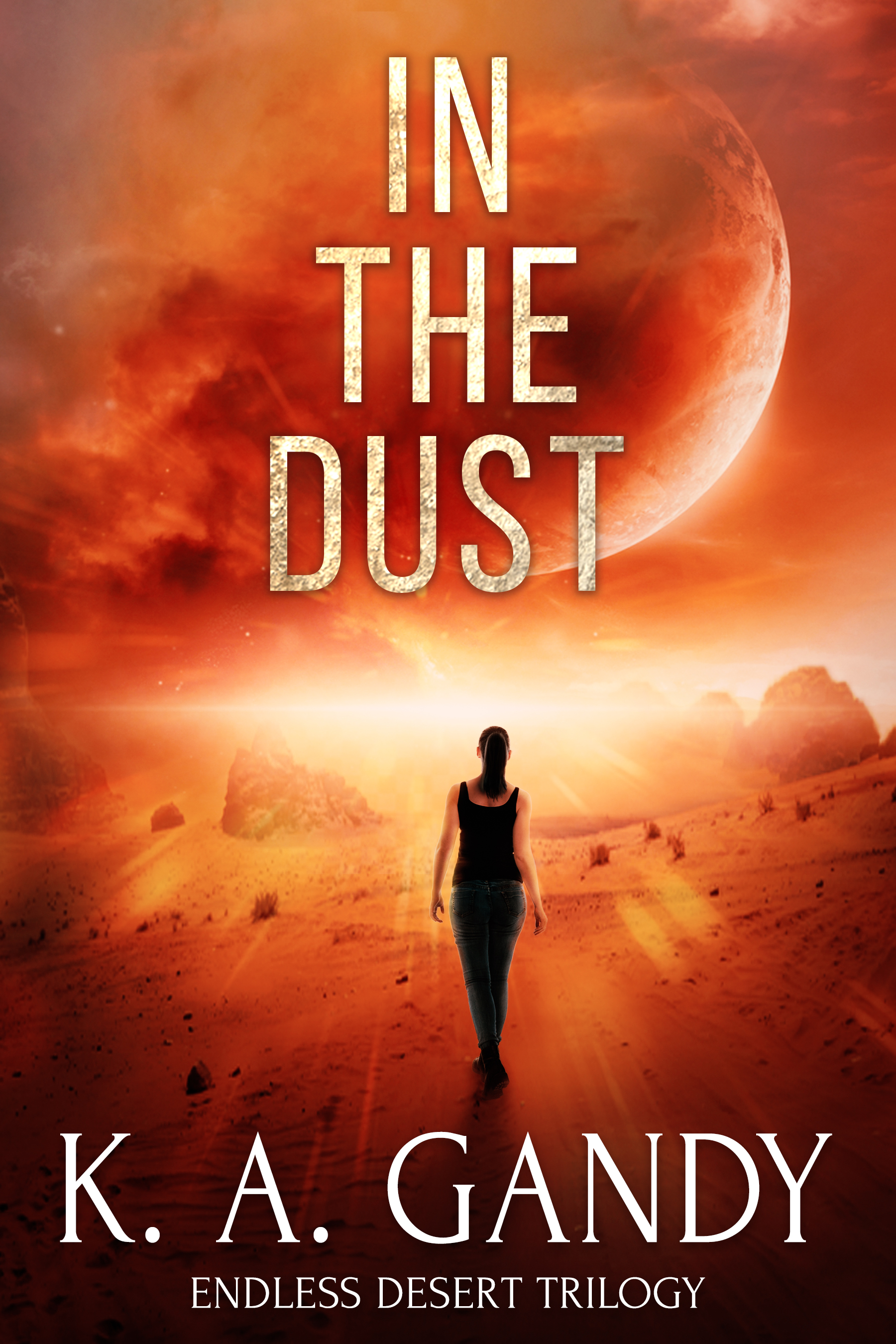 Cover of In the Dust